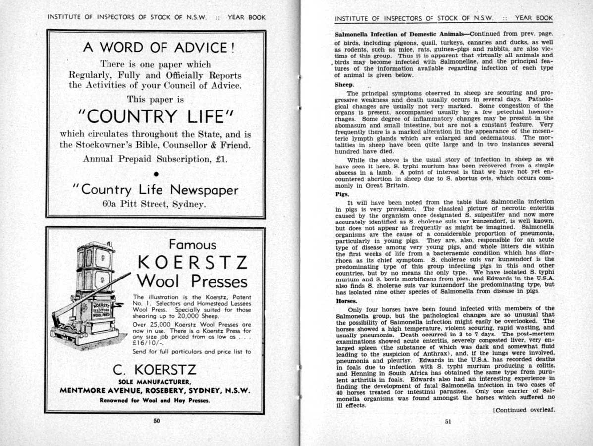 1941 Page 50 51